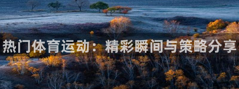 凯发官网下载官方客服电话：热门体育运动：精彩瞬间与策