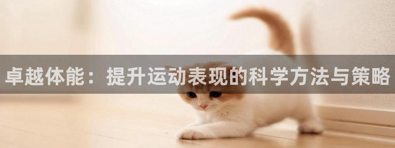 凯发官网下载招商：卓越体能：提升运动表现的科学方法与