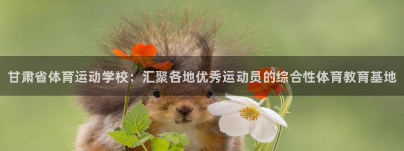 凯发官方正版app集团：甘肃省体育运动学校：汇聚各地