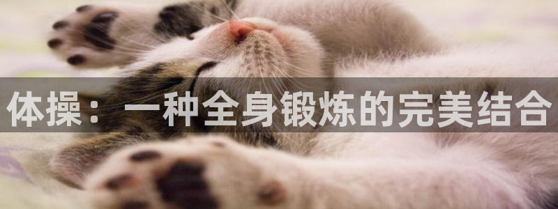 凯发官方正版app娱乐首页网站大全：体操：一种全身锻