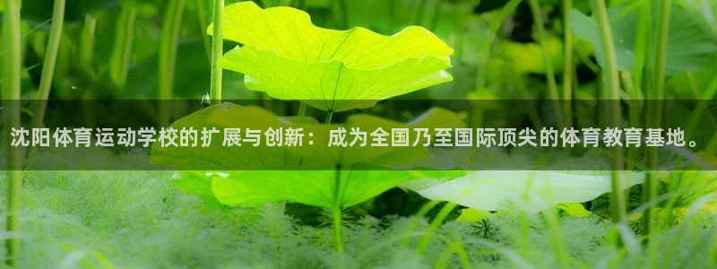 凯发官网下载招商电话地址：沈阳体育运动学校的扩展与创