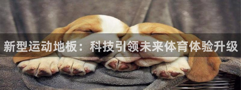 凯发官网下载招商电话号码是多少：新型运动地板：科技引