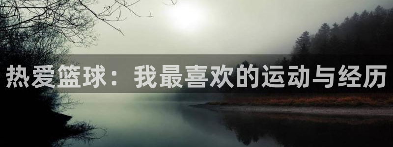 海南凯发官网下载：热爱篮球：我最喜欢的运动与经历