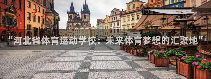 凯发官网下载招商电话地址查询