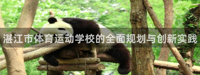 凯发官方正版app集团logo：湛江市体育运动学校的全面规划