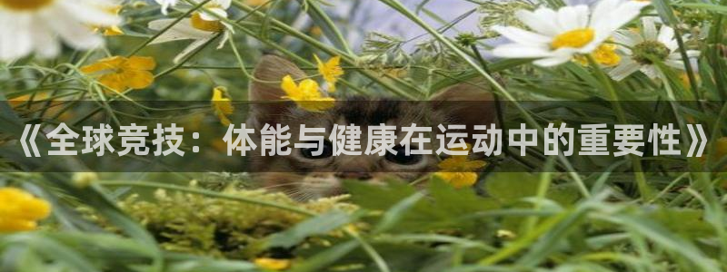 凯发官方正版app娱乐首页网站大全