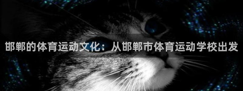 注册凯发官方正版app：邯郸的体育运动文化：从邯郸市体育运动