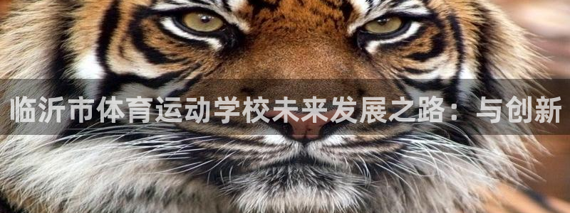 凯发官网下载官方客服电话：临沂市体育运动学校未来发展之路：与