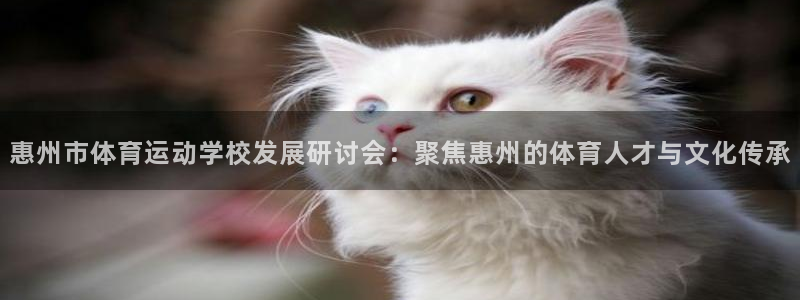 凯发官方正版app代理：惠州市体育运动学校发展研讨会：聚焦惠