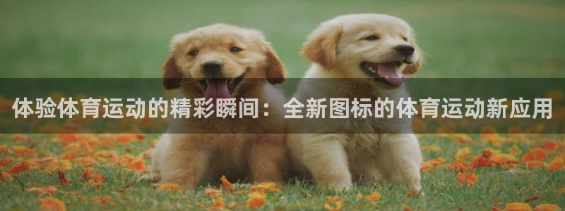 凯发官网下载招商电话是多少