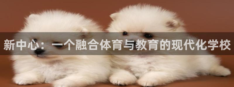 凯发官网下载平台注册流程视频：新中心：一个融合体育与教育的现