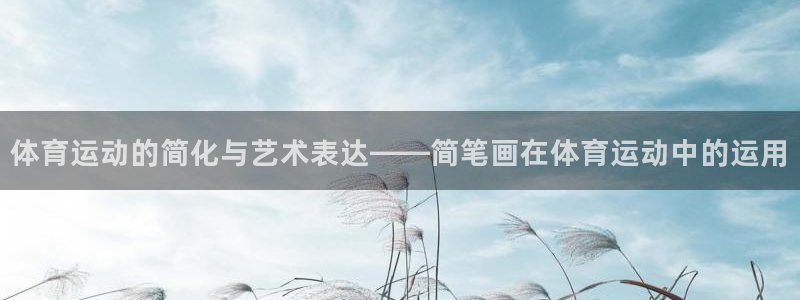 凯发官网下载平台：体育运动的简化与艺术表达——简笔画