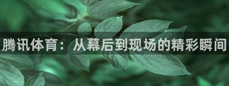 凯发官方正版app集团官网首页网址
