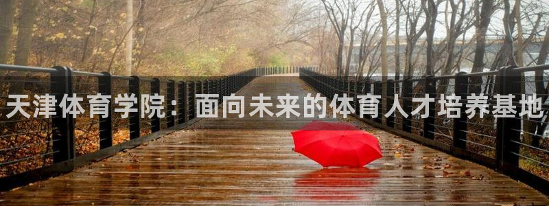凯发官方正版app集团