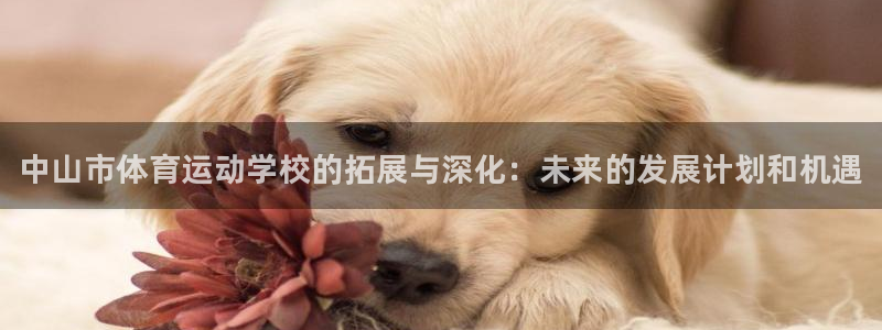 凯发官网下载招商电话地址查询