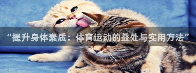 凯发官网下载平台注册：“提升身体素质：体育运动的益处与实用方