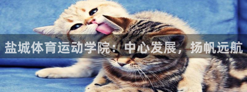 凯发官网下载招商电话号码是多少：盐城体育运动学院：中心发展，