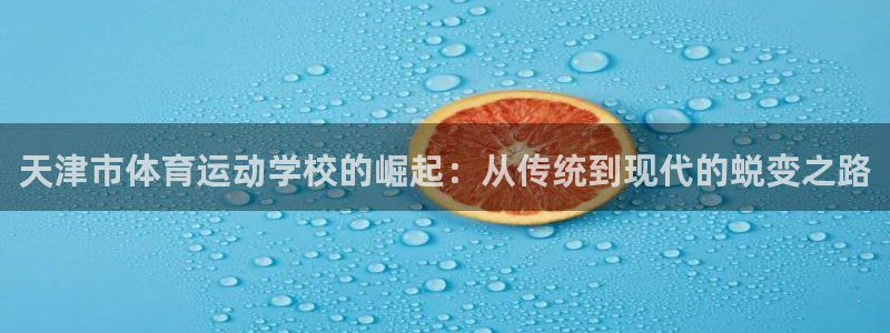 凯发官方正版app娱乐：天津市体育运动学校的崛起：从传统到现