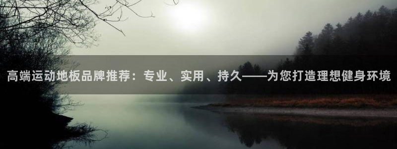 凯发官方正版app科技：高端运动地板品牌推荐：专业、实用、持