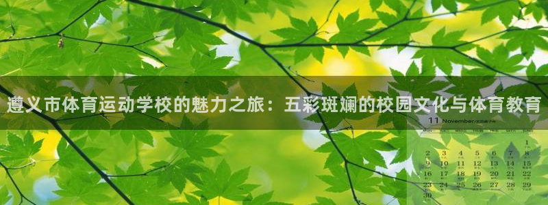 凯发官网下载招商电话地址查询：遵义市体育运动学校的魅力之旅：