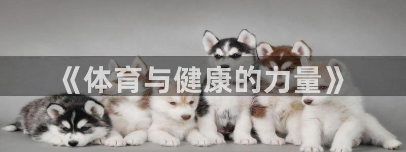 凯发官方正版app代理：《体育与健康的力量》