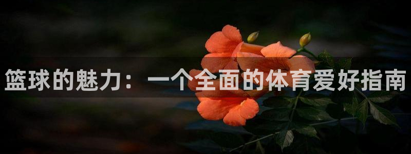 凯发官方正版app新能源
